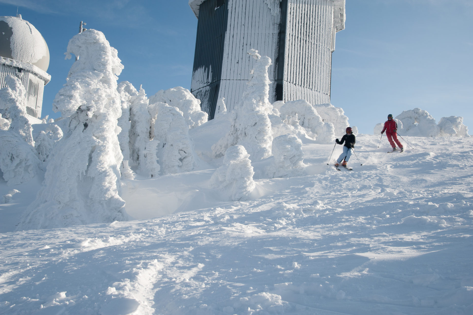 Wintersport-Arber